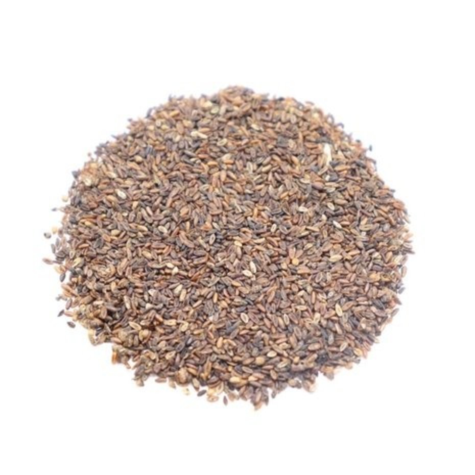 Smalle Weegbree zaden - 5 gram