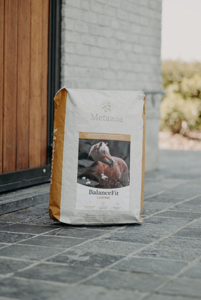 Metazoa Balancefit Luzerne