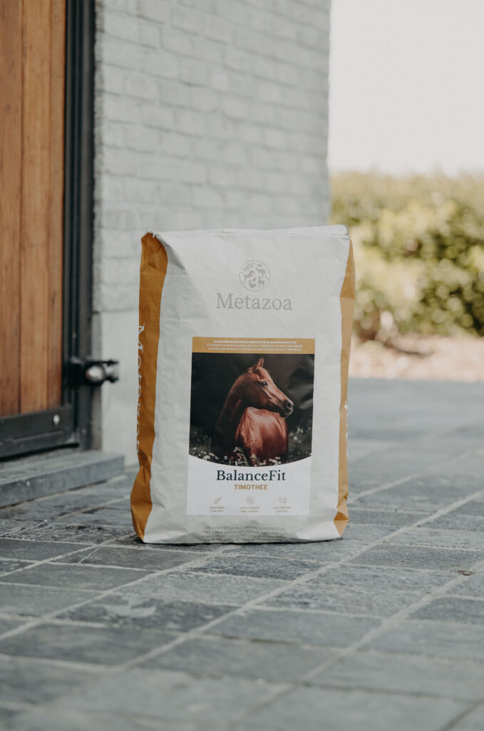 Metazoa Balancefit Timothee